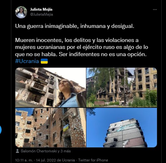 Usuarios en redes sociales le comentaron a la diputada Julieta Mejía que mejor se "regresara a México a trabajar" (Foto: Twitter@JulietaMejia)