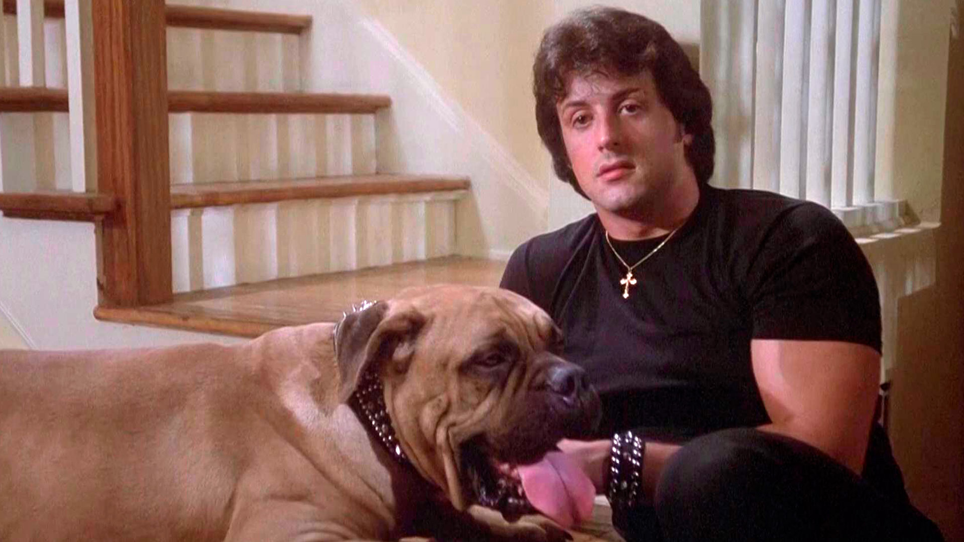 Butkus apareció junto a Rocky Balboa en el Rocky original y nuevamente en Rocky II; el bull mastiff era propiedad de Sylvester Stallone en la vida real. (Foto Daily Mail)
