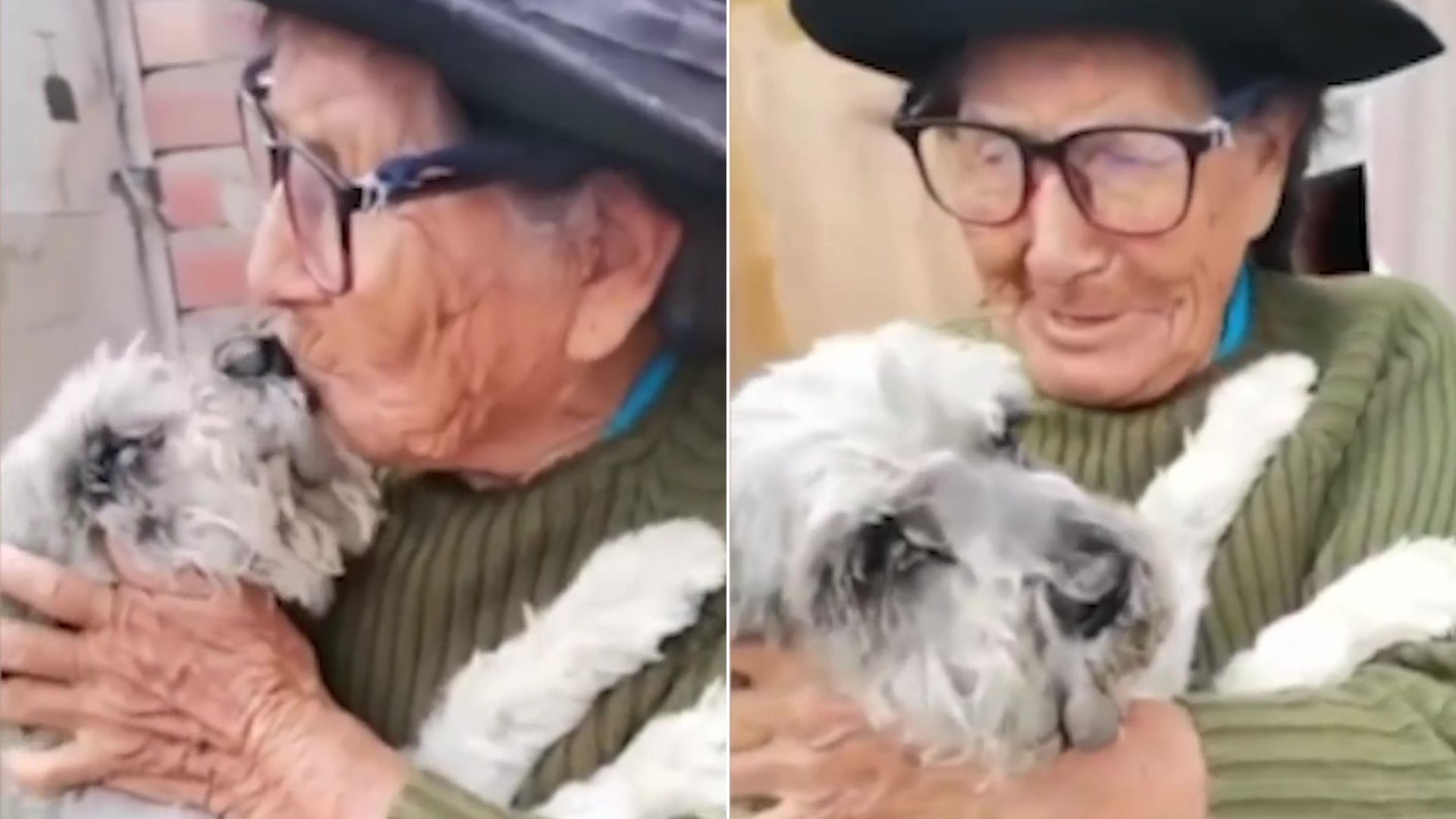 El emotivo reencuentro viral de una abuela de 103 años con su perrito “Raylu”