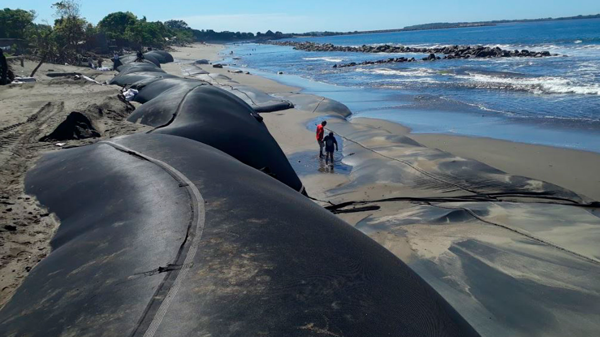 Para 2018 el gobierno instaló 175 metros de dique costero a través de la instalación de nueve geocontenedores que la población llama "ballenas". (Foto 19 Digital)