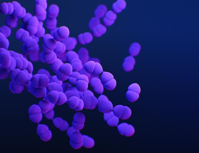 This is a medical illustration of drug-resistant Streptococcus pneumoniae, presented in a Centers for Disease Control and Prevention (CDC) publication, Antibiotic Resistance Threats in the United States, 2019 (AR Threats Report).  See the link below for more information on the topic of antimicrobial resistance (AR).
