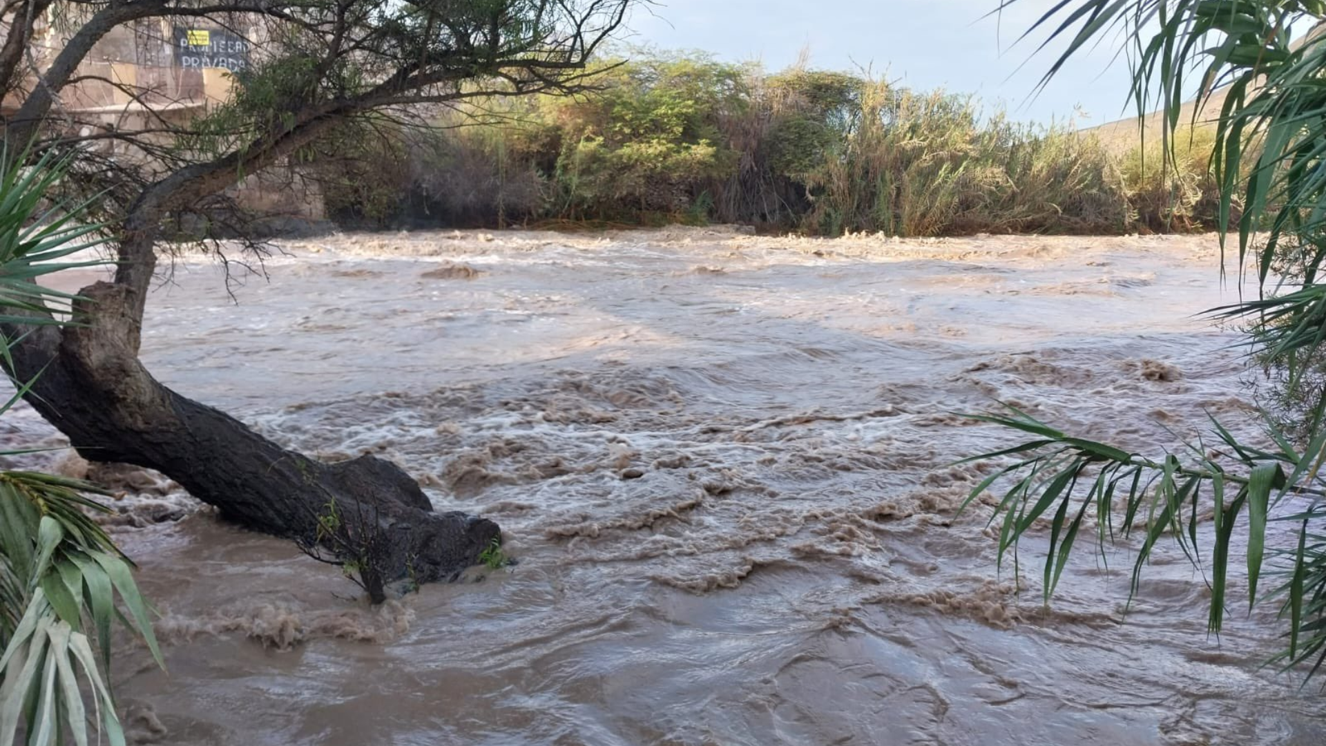 Increase in the flow of the Pisco river puts 10 populated centers at risk due to possible overflows