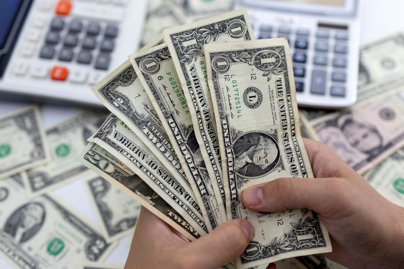 Dollar has recovered its price during February, in Colombia and the region.  REUTERS/Dado Ruvic
