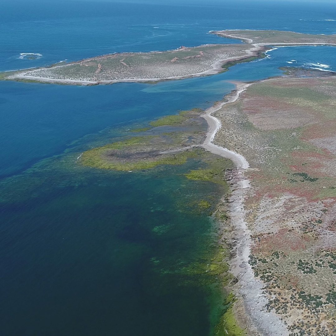 La Administración de Parques Nacionales de la Argentina es la autoridad de aplicación del Sistema Nacional de Áreas Marinas Protegidas, que hoy cuenta con dos unidades: Namuncurá Banco Burdwood y Yaganes.