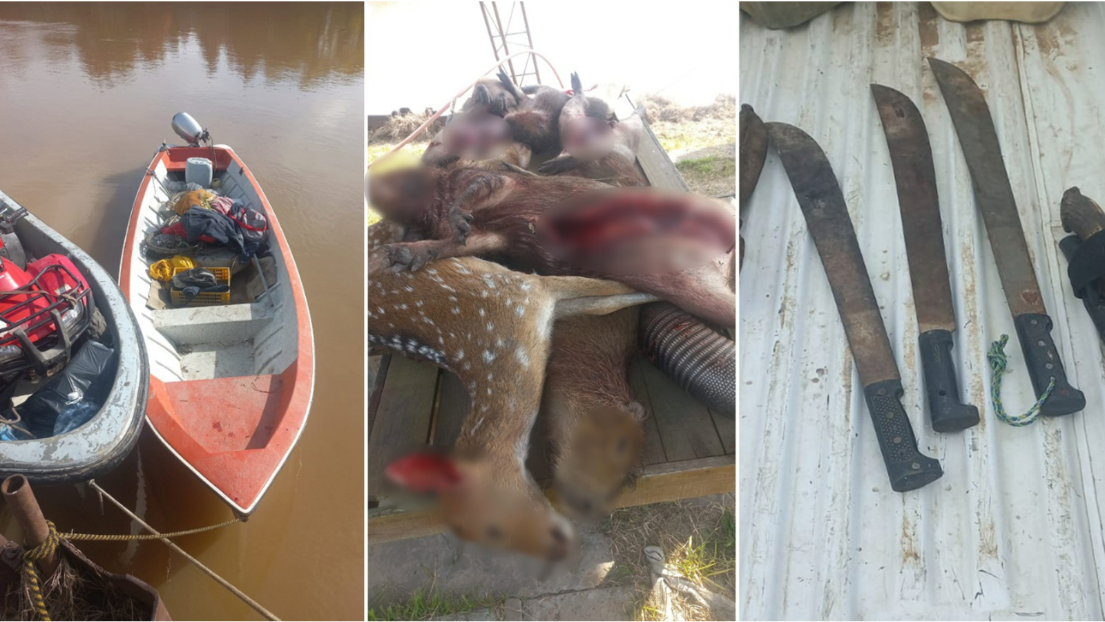 Desbarataron un campamento de cazadores furtivos en el Delta de Z&aacute;rate: hab&iacute;a carpinchos, mulitas y un ciervo faenados