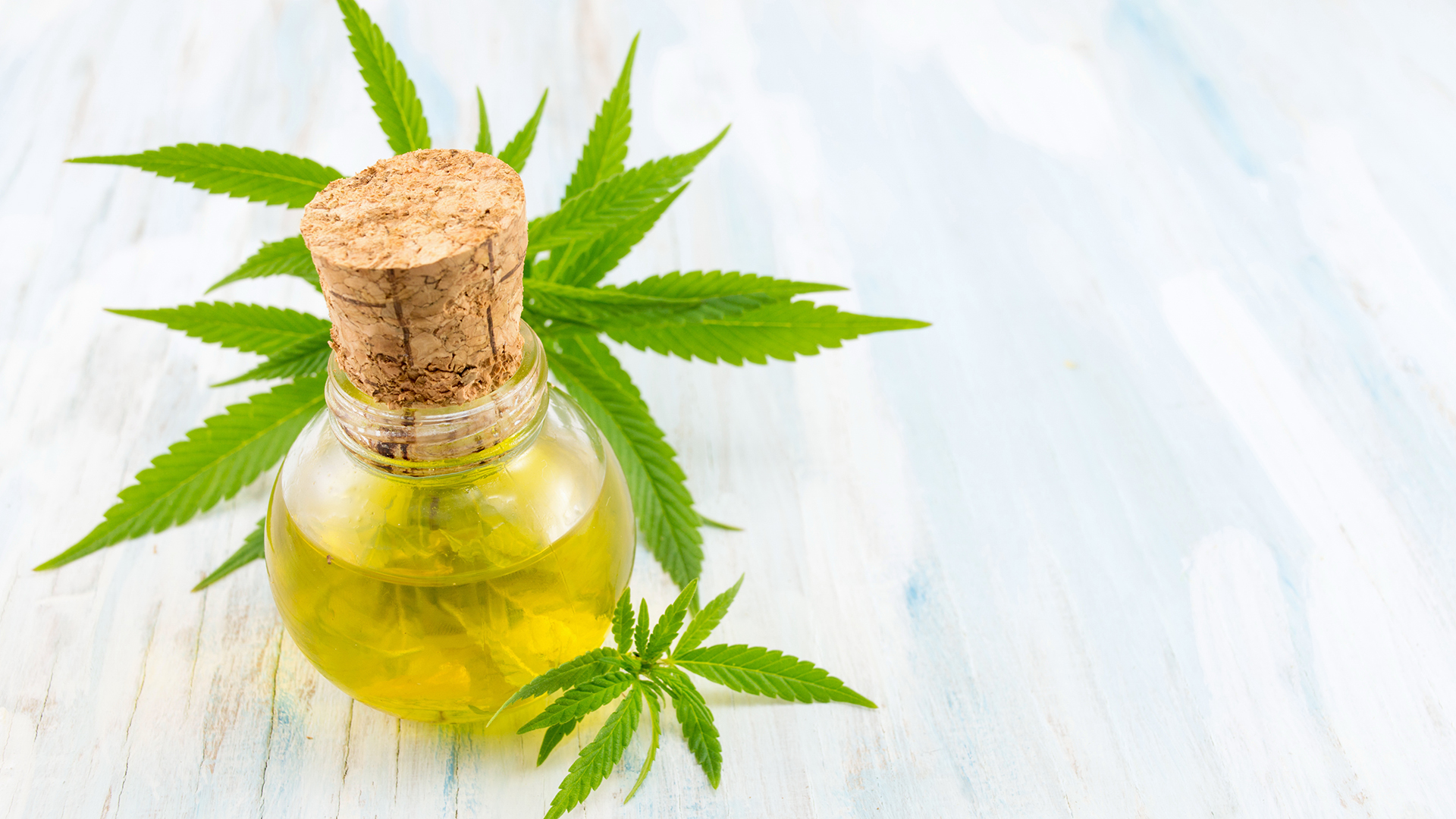 El aceite de cannabis puede ser utilizado con fines medicinales (Getty)
