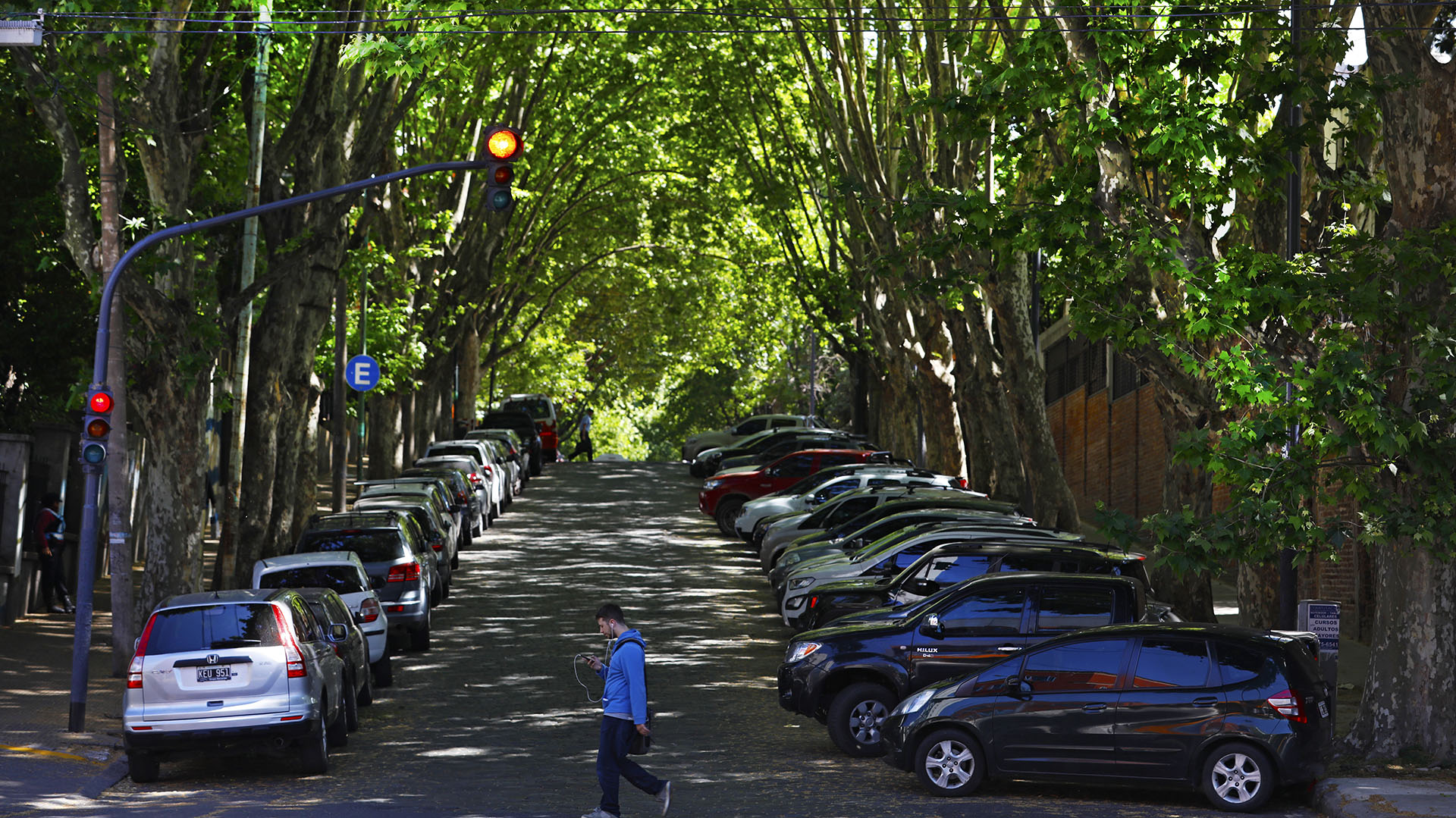 Polonia reabrirá en noviembre dos pasos fronterizos con Bielorrusia: “Los beneficios superan los riesgos”