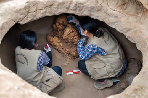 The discovery, believed to date from 800 to 1200 AD, sheds new light on the history of ancient Peru and provides valuable insight into the lives of those who lived in the region more than a thousand years ago.  Source: AFP Agency.