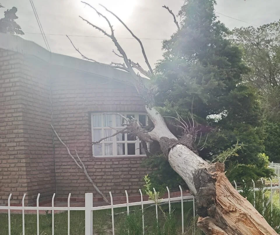 La crítica a Colapinto de un campeón de la F1 por su continuidad en Alpine y la feroz respuesta de los fanáticos