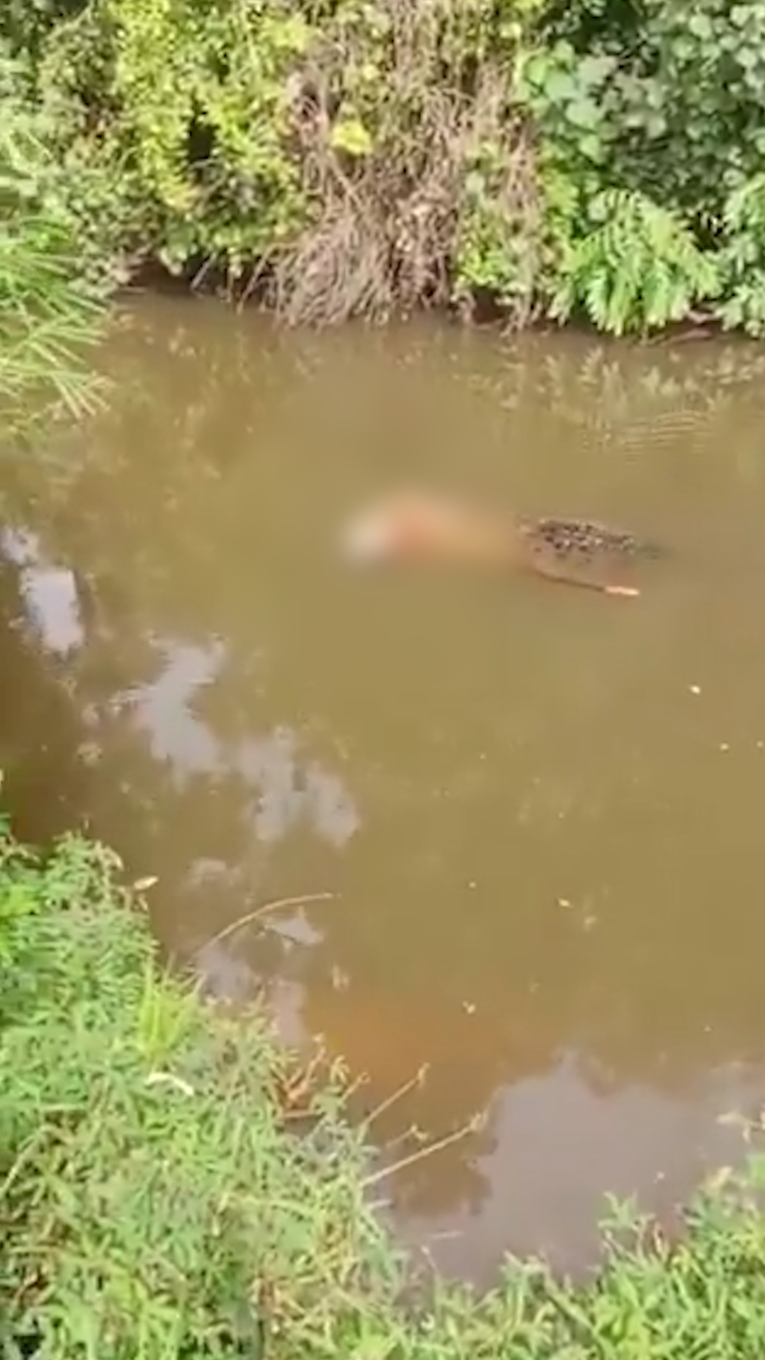 Cómo fue el salvaje robo al guitarrista “Alambre” González en su departamento de Caballito