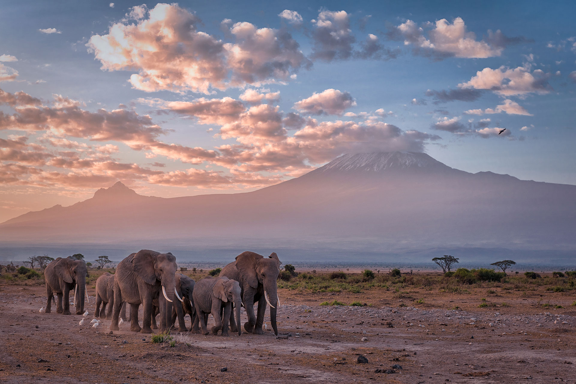 Las nieves del Kilimanjaro fueron inmortalizadas por el escritor Ernest Hemingway (Getty Images)