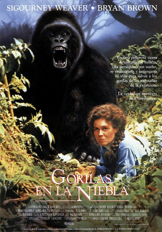 En 1988 se estrenó Gorilas en la Niebla dirigida por Michael Apted e interpretada por Sigourney Weaver. Se basó en sus memorias y en investigaciones periodísticas sobre su muerte y su conducta en los últimos años (Crédito: Sensacine)