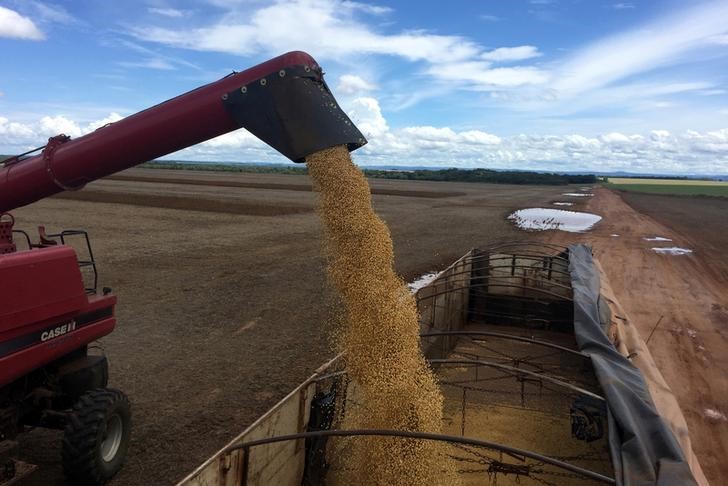 Foto de archivo de un camión siendo cargado con porotos de soja en Porto Nacional, en el estado brasileño de Tocantins. 
Mar 24, 2018. REUTERS/Roberto Samora