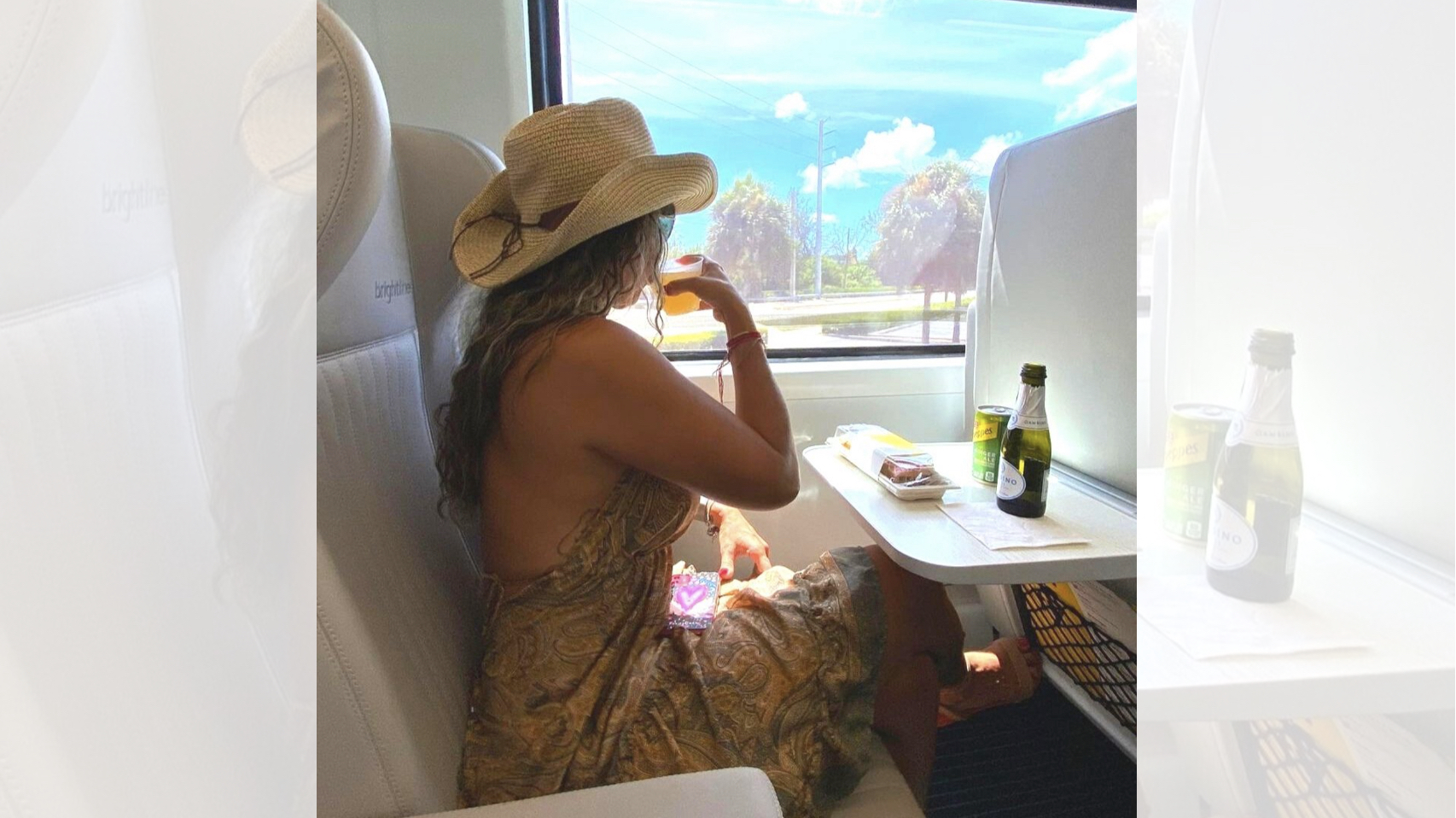 Desde las ventanas panorámicas del tren podrás ver la Florida como nunca antes. (Brightline)