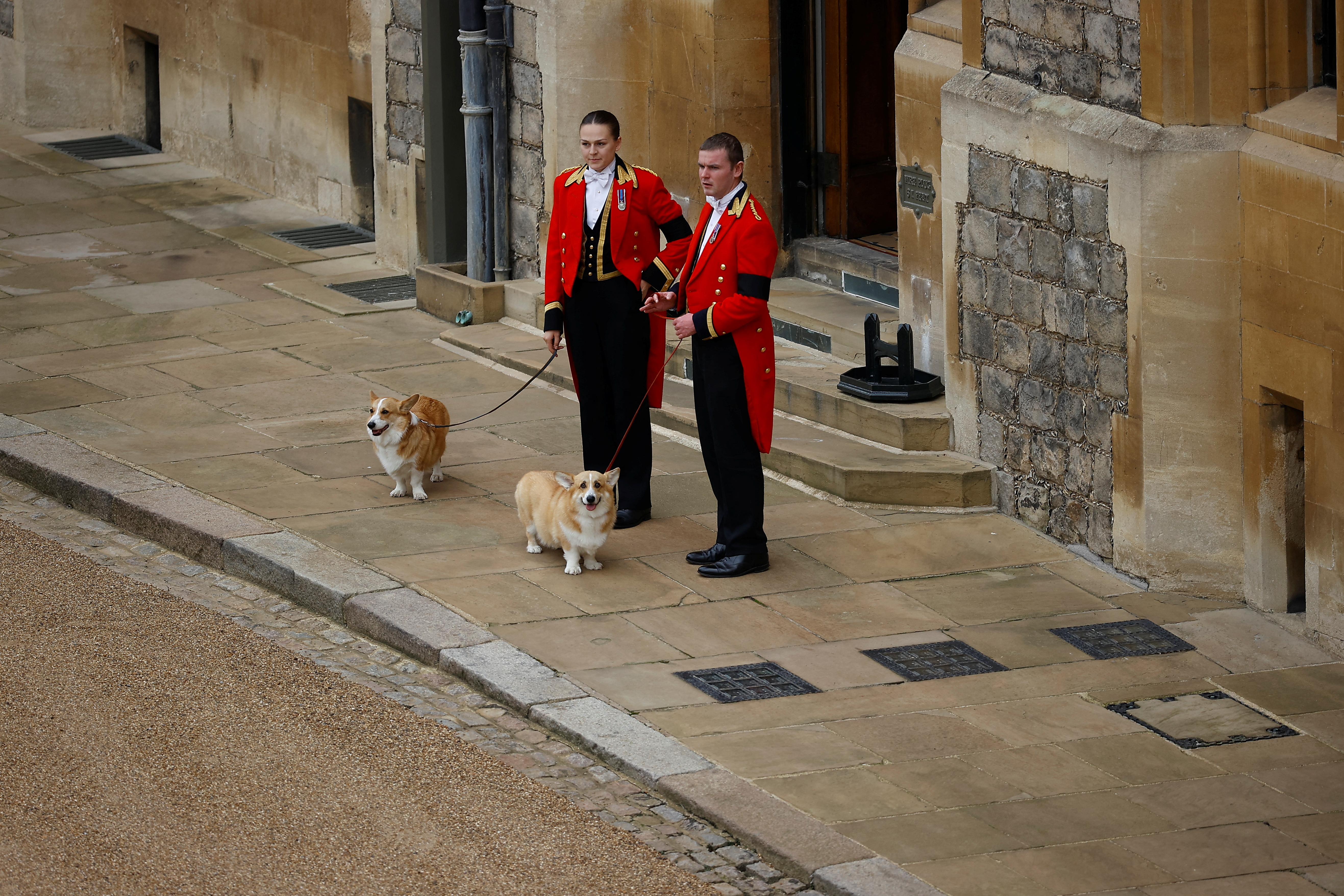 Los corgis reales esperan el cortejo el día del funeral de estado y el entierro de la reina Isabel de Gran Bretaña, en el Castillo de Windsor en Windsor. 