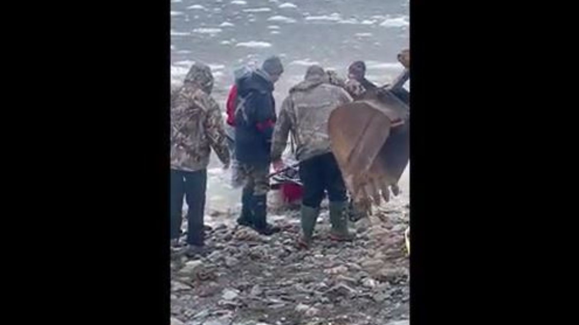 Los momentos de tensión que se vivieron al rescatar unos delfines atrapados en el hielo
