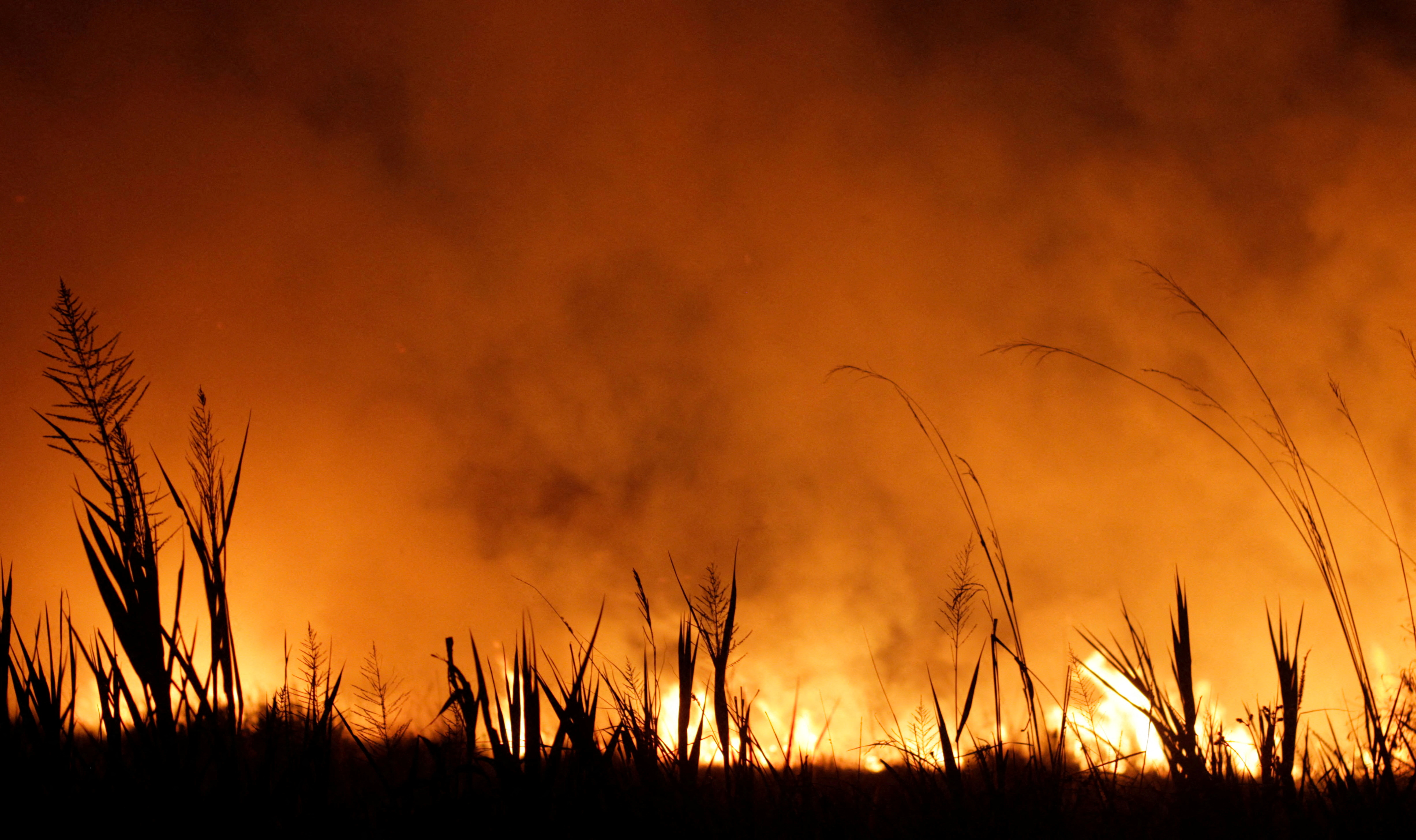 Descontrolados incendios en la provincia de Corrientes. REUTERS/Sebastian Toba
