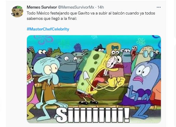 Masterchef Celebrity Las Reacciones Más Divertidas Con Memes Que