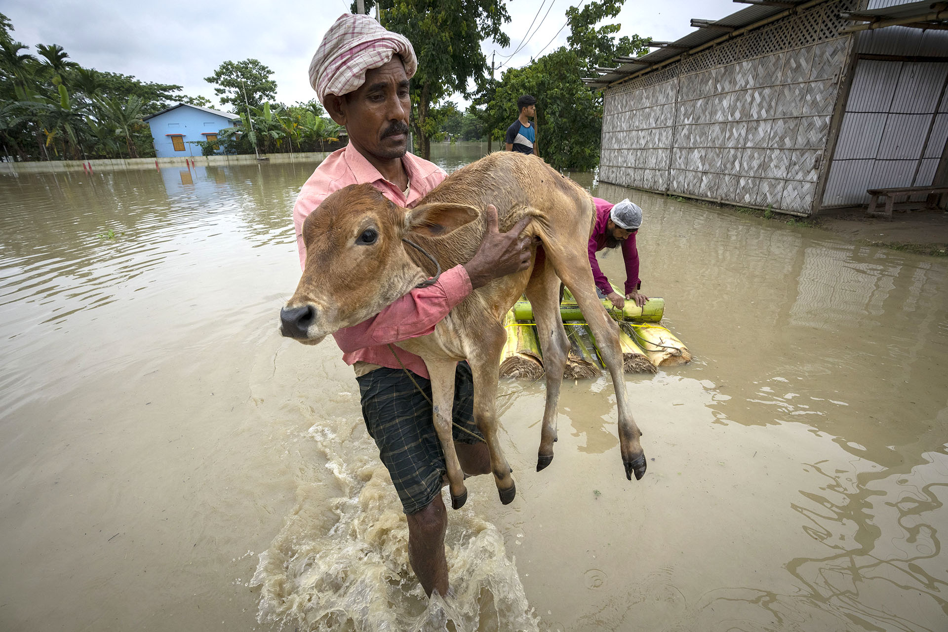 A person carries animals in India (AP Photo / Anupam Nath)