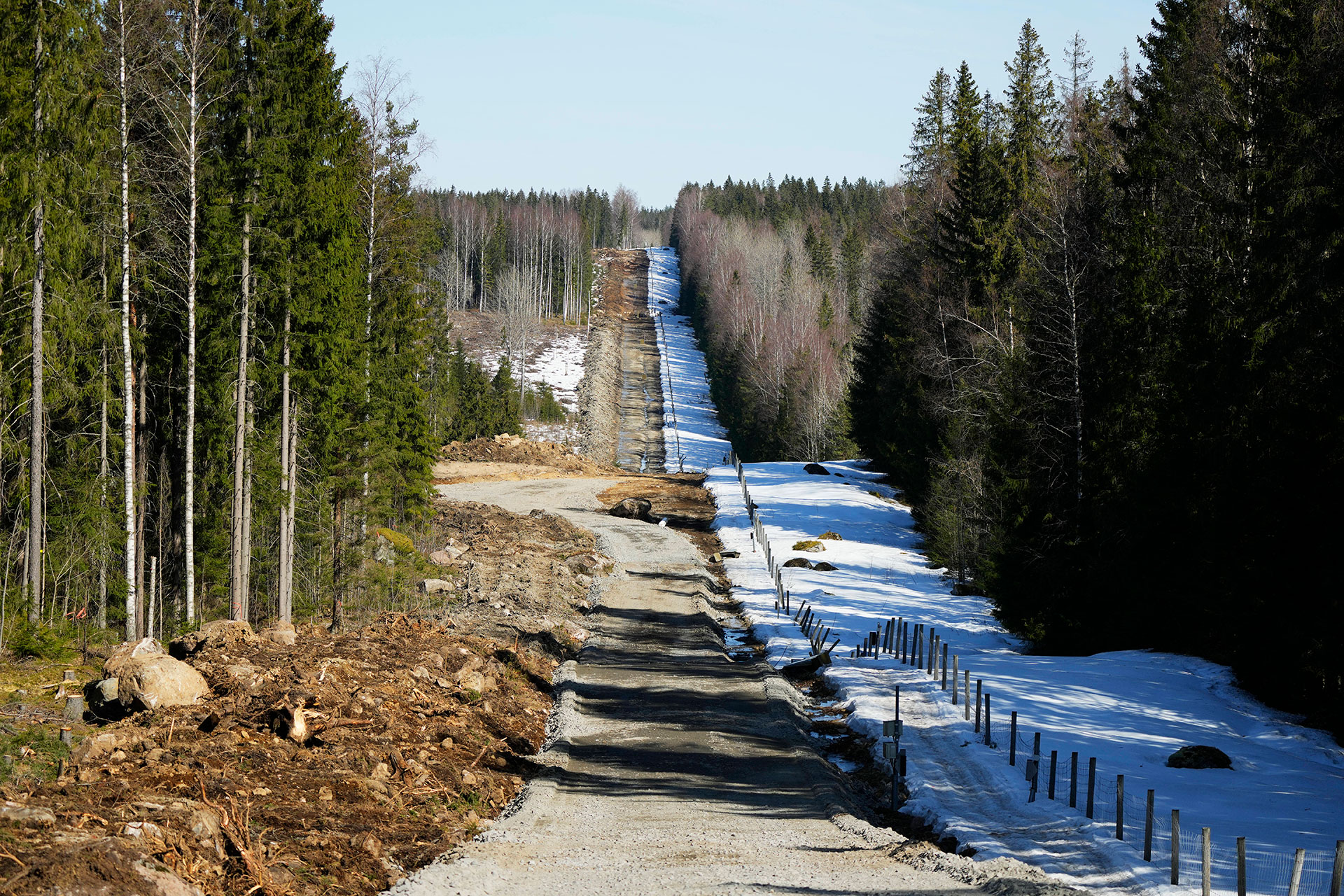 El bosque cerca del paso fronterizo de Pelkola en Imatra, al sureste de Finlandia, el viernes 14 de abril de 2023. (AP Photo/Sergei Grits)