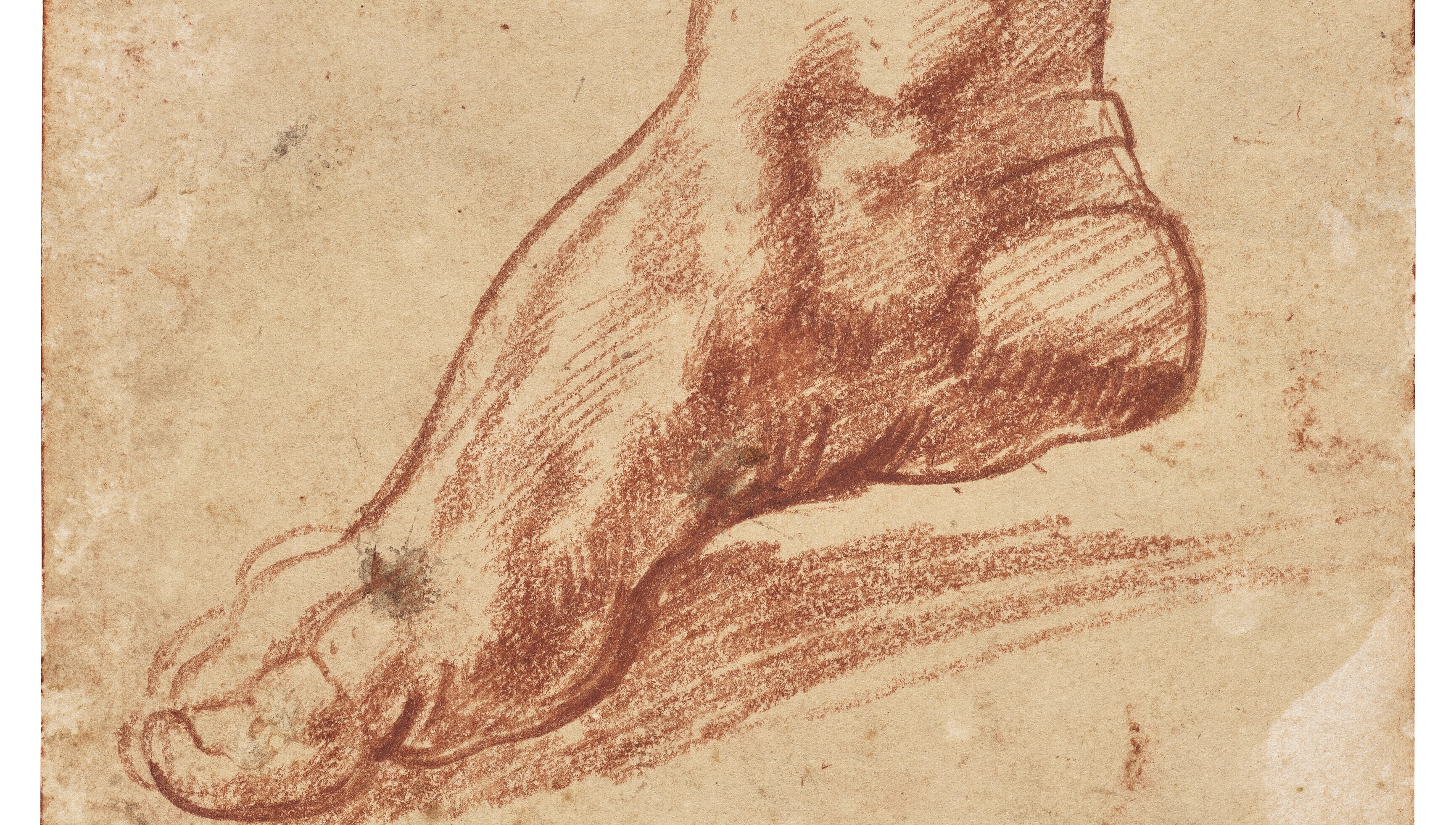 Ordenaron la liberación de Agostina Páez, la argentina detenida en Brasil por hacer gestos racistas 