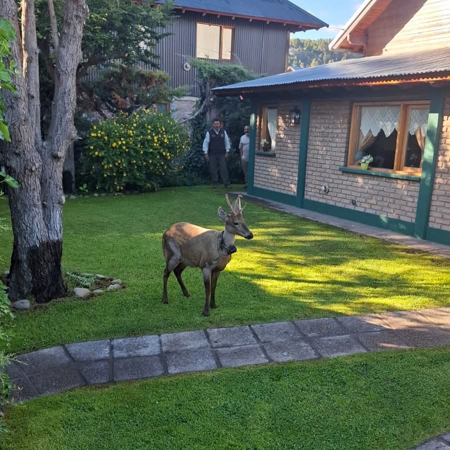 Al menos 11 muertos y varios heridos tras un ataque terrorista contra una celebración judía en Australia 