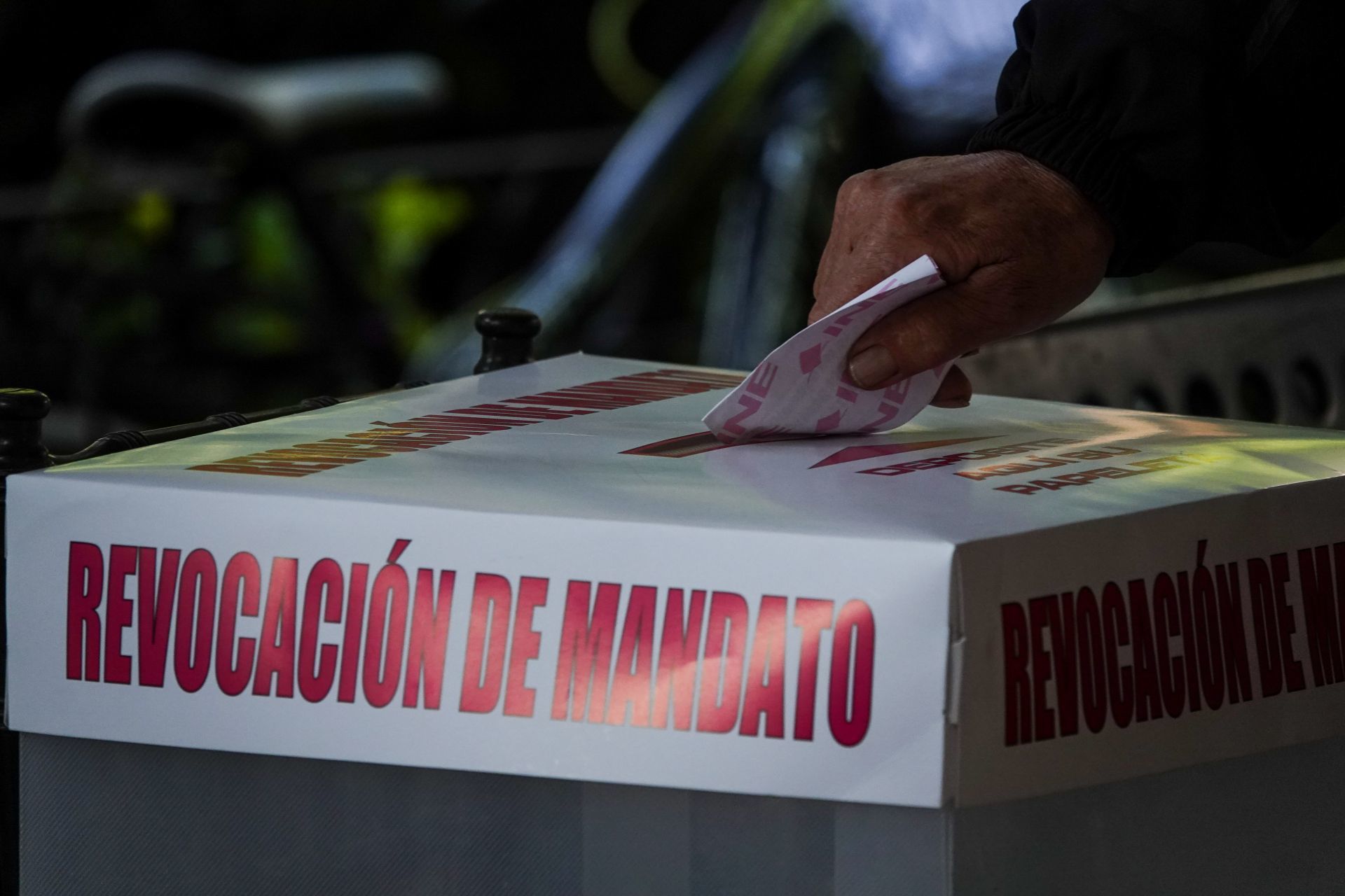 El Tribunal Electoral invalidó los resultados de la consulta popular (Foto: GALO CAÑAS/CUARTOSCURO.COM)