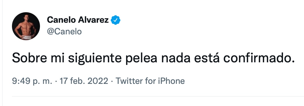 Canelo Alvarez denied rumors of his upcoming fight: 