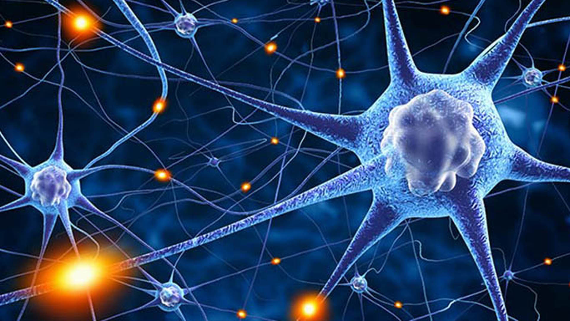 Las crisis epilépticas son episodios de alteración de la actividad eléctrica del cerebro 