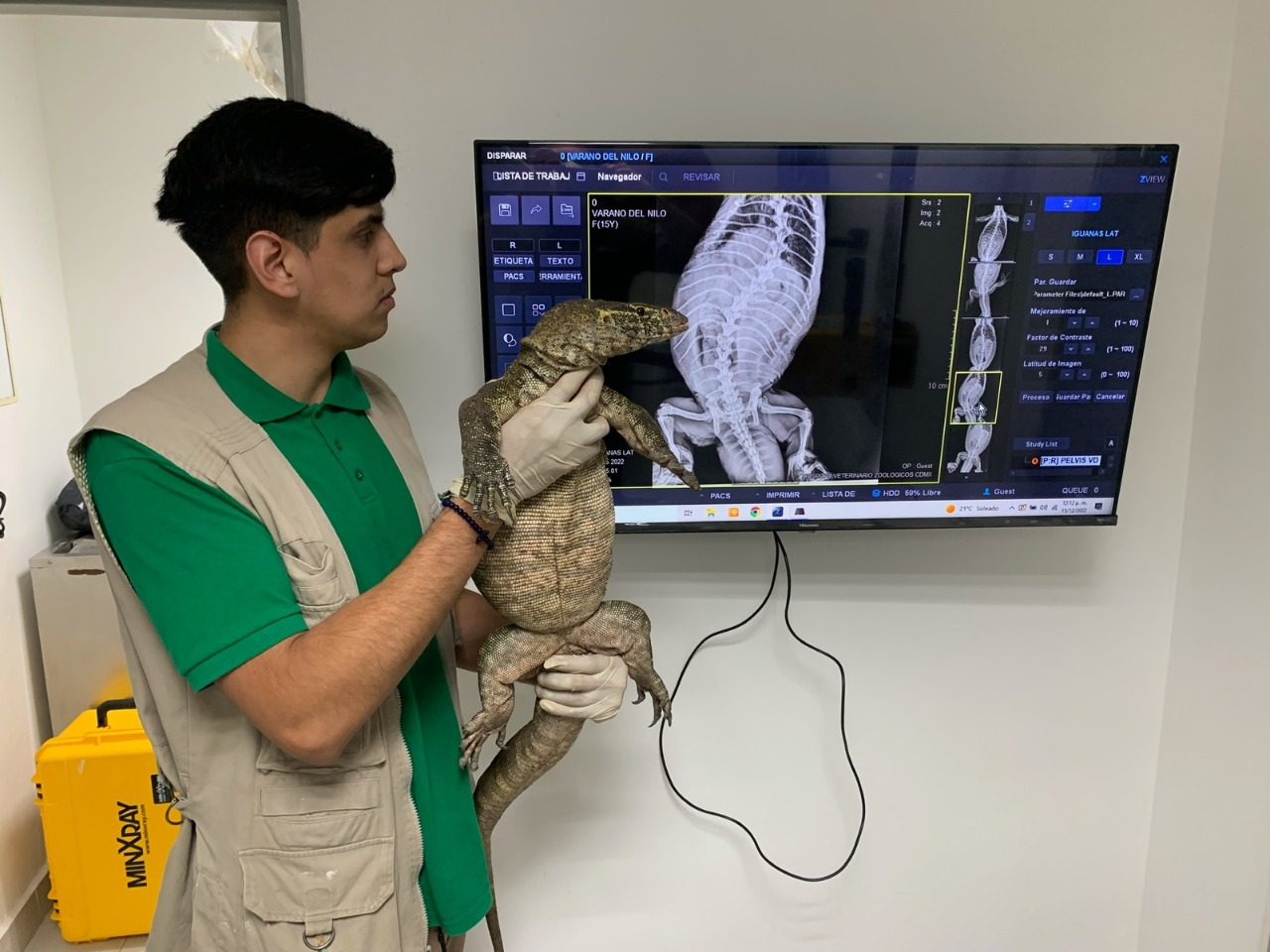 Reptil africano que fue rescatado en Xochimilco ya puede ser visitado en  Chapultepec - Infobae