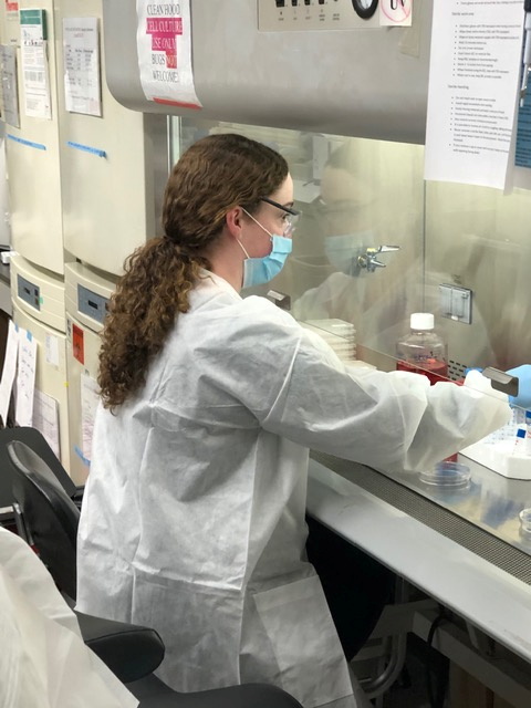 Una científica trabaja en los laboratorios de Pfizer donde llevan a cabo el desarrollo de la vacuna contra el coronavirus (COVID-19) en Pearl River, Nueva York (Reuters)