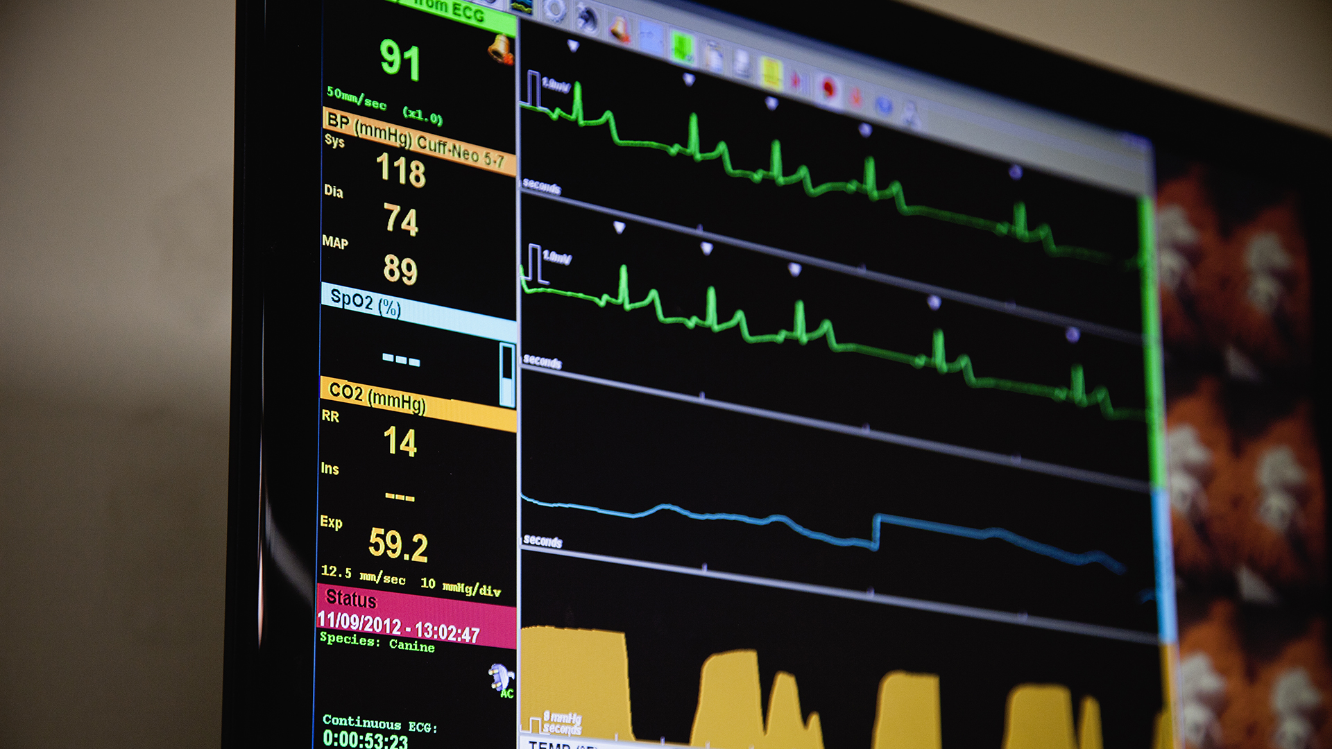 El ámbito de la cardiología es uno de los que más aplica la salud digital (Getty)