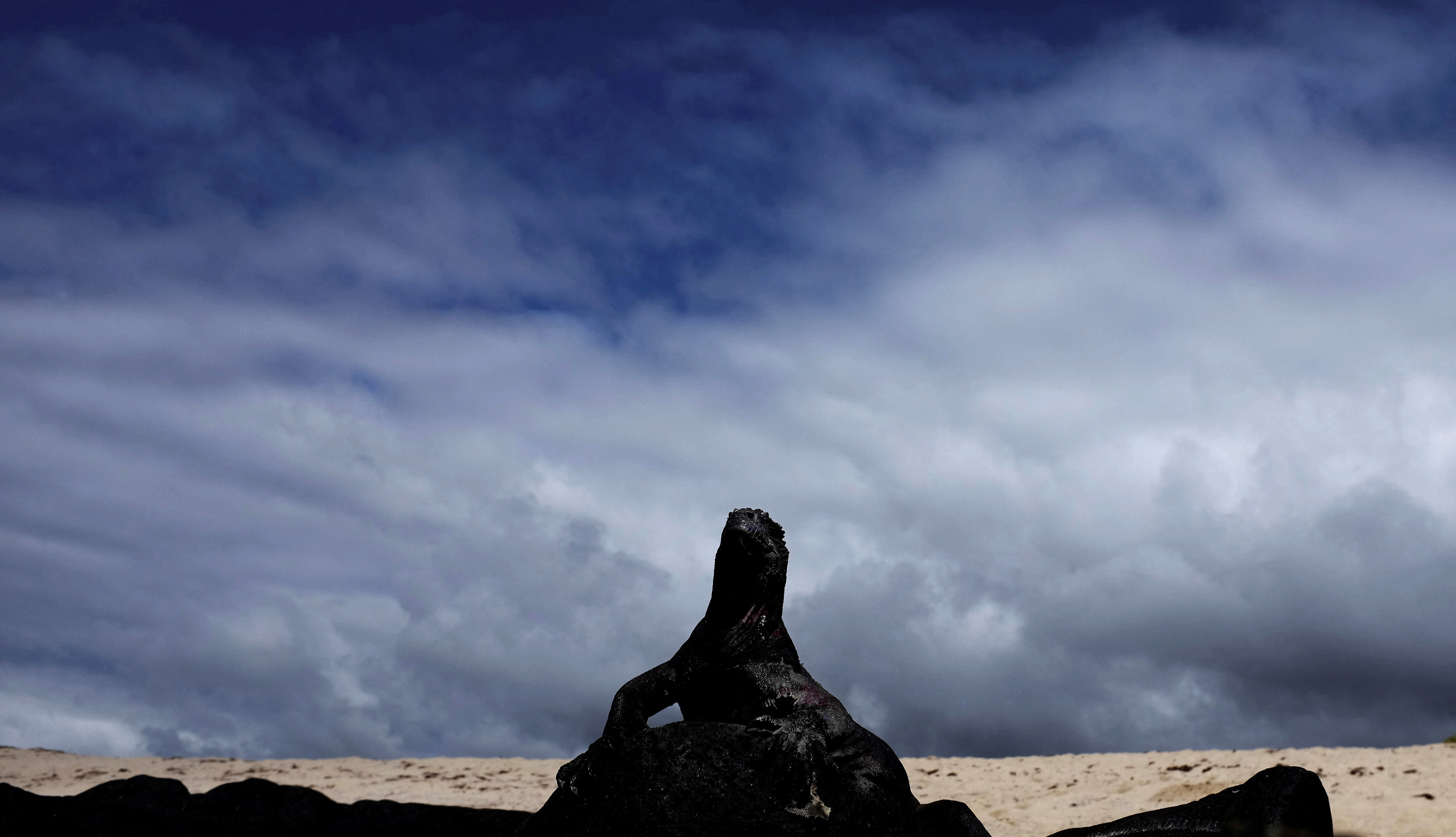 Científicos analizarán cómo reducir las emisiones de carbono en Galápagos