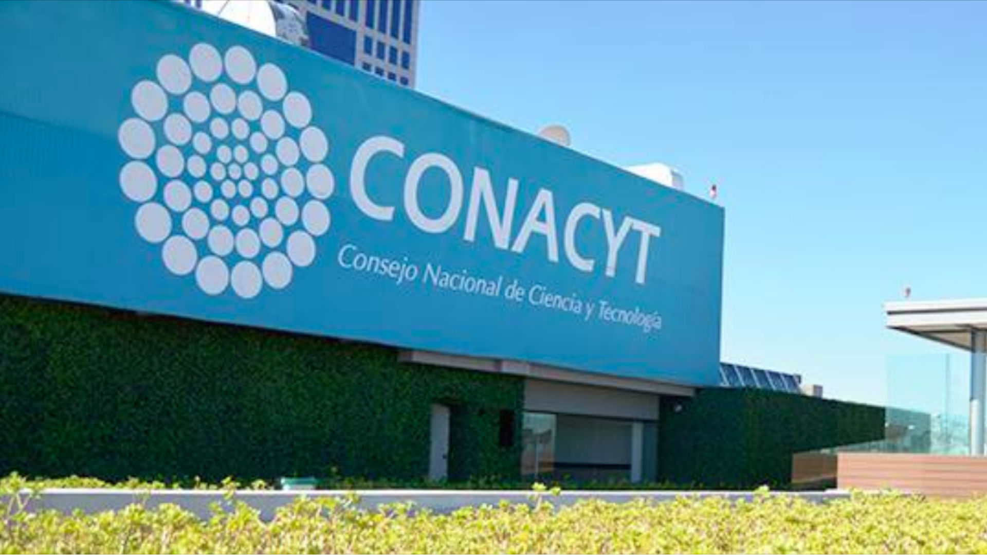 Recientemente circuló una noticia que afirmaba que Conacyt retiraría apoyos económicos a estudiantes embarazadas y a todo aquel que participara en protestas (Foto: Facebook ConacytMX)