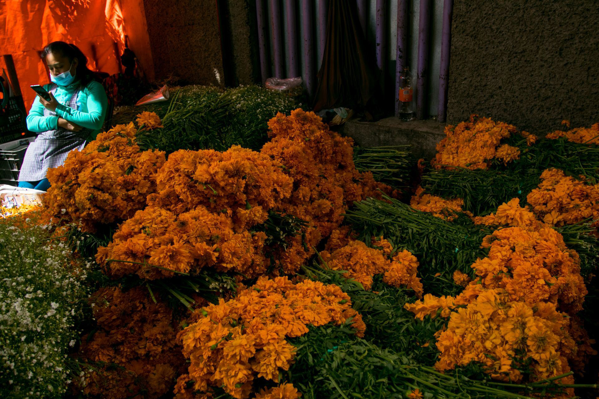 Los mercados continúan pintándose de naranja por la venta de flores de cempasúchil con motivo de la celebración del Día de Muertos.