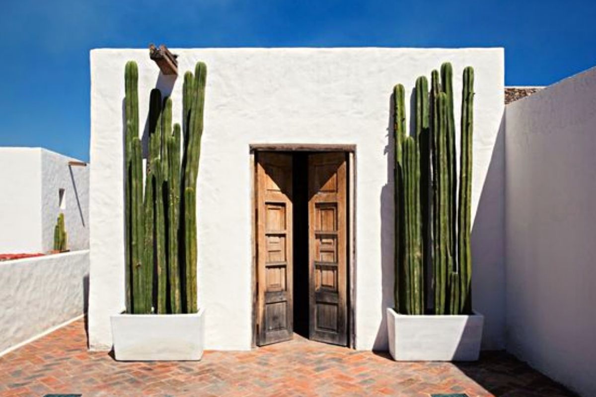 ¿Por qué algunos peruanos creen que el cactus de San Pedro protege las casas de robos?
