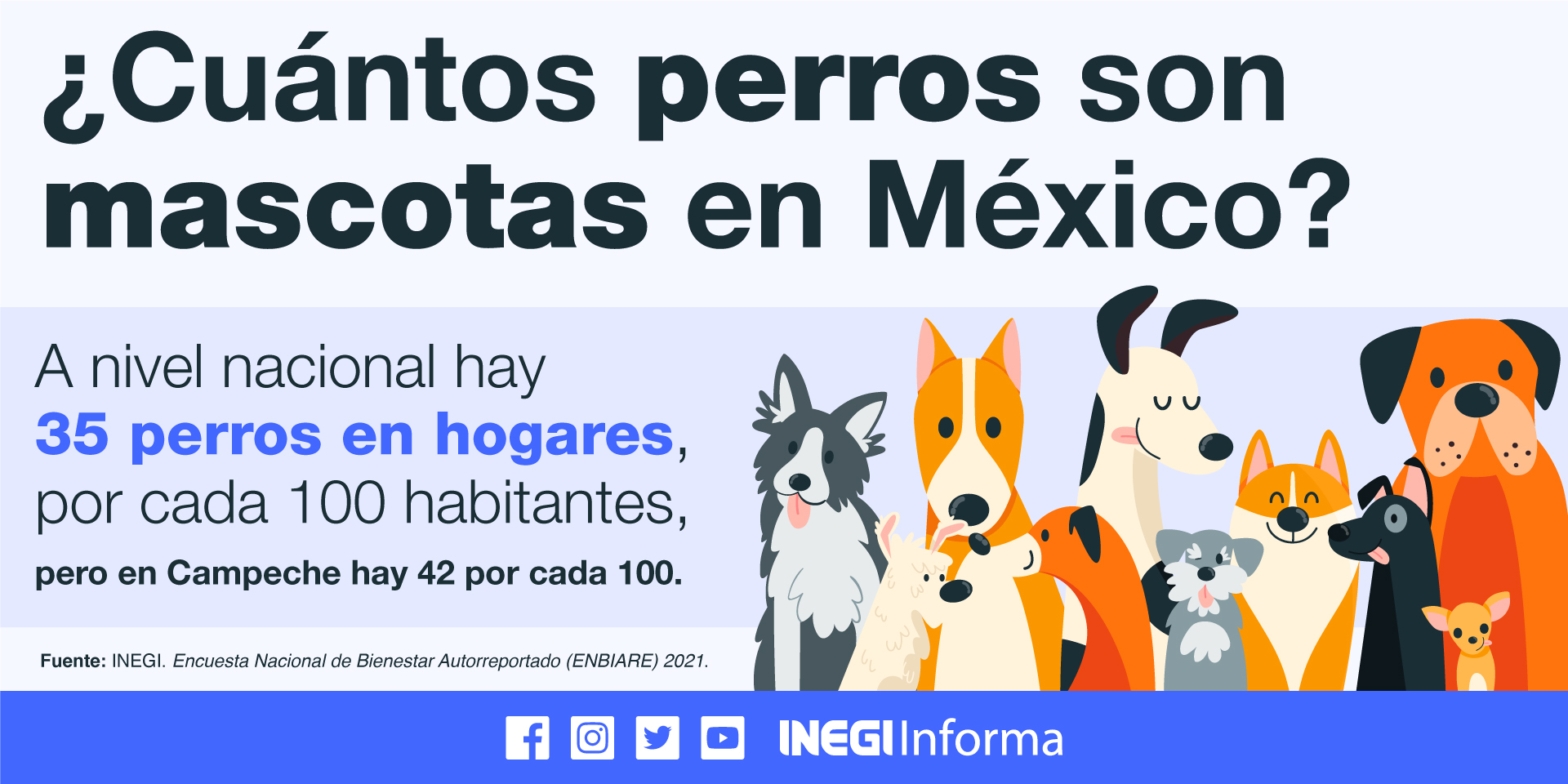 Gobierno De Sonora Quiere Reducir La Sobrepoblación Canina Con Estas