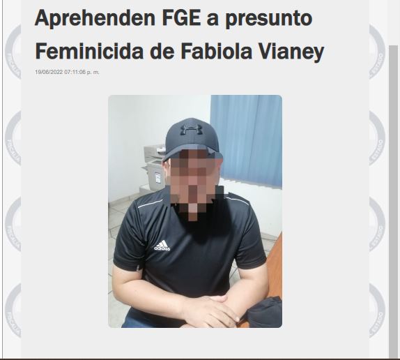 The Sinaloa State Attorney General'S Office Apprehended The Alleged Perpetrator (Photo: Fge Sinaloa Screenshot)