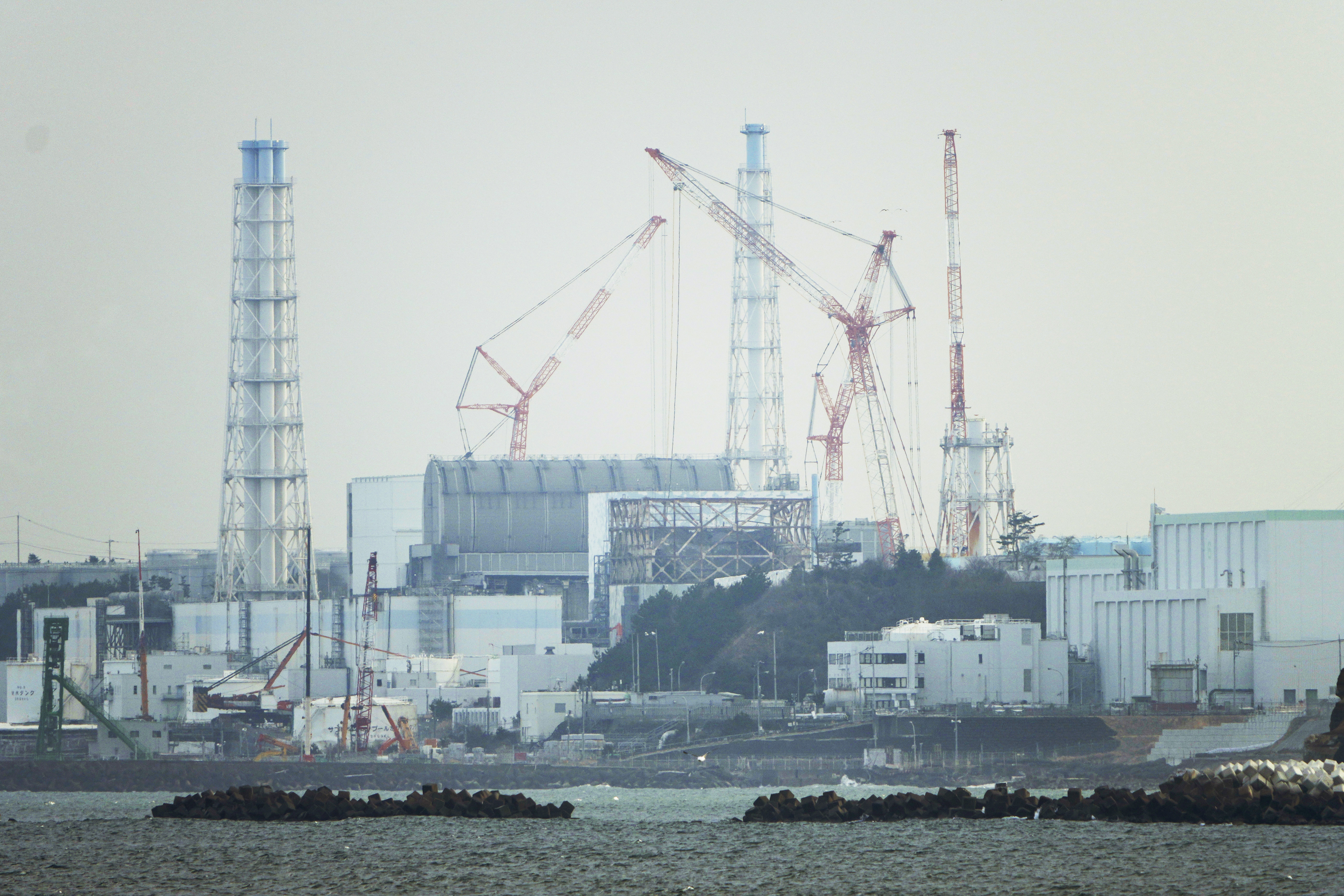 In January, a plan was approved to dump the contaminated and treated water that accumulates in the damaged nuclear plant into the ocean in the coming months.  (AP Photo/Hiro Komae)