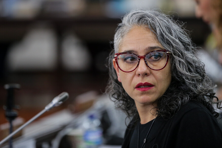 María José Pizarro, presidenta de la Comisión Legal para la Equidad de la Mujer y encargada de las indagaciones, entregó detalles de lo que se realizará para hacerle frente a la situación