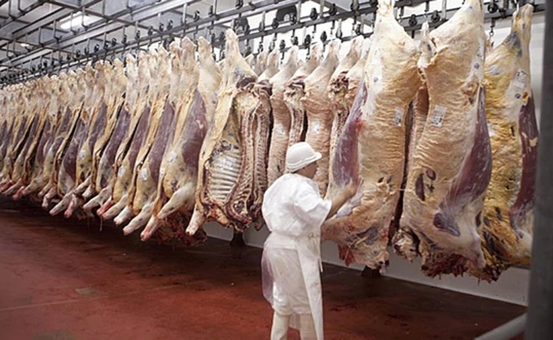 Crece el malestar por las restricciones para exportar carne vacuna. 