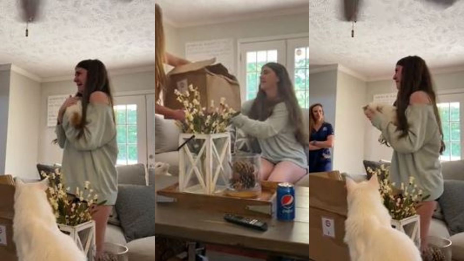 Video viral: joven lloró al recibir un gato como regalo de cumpleaños