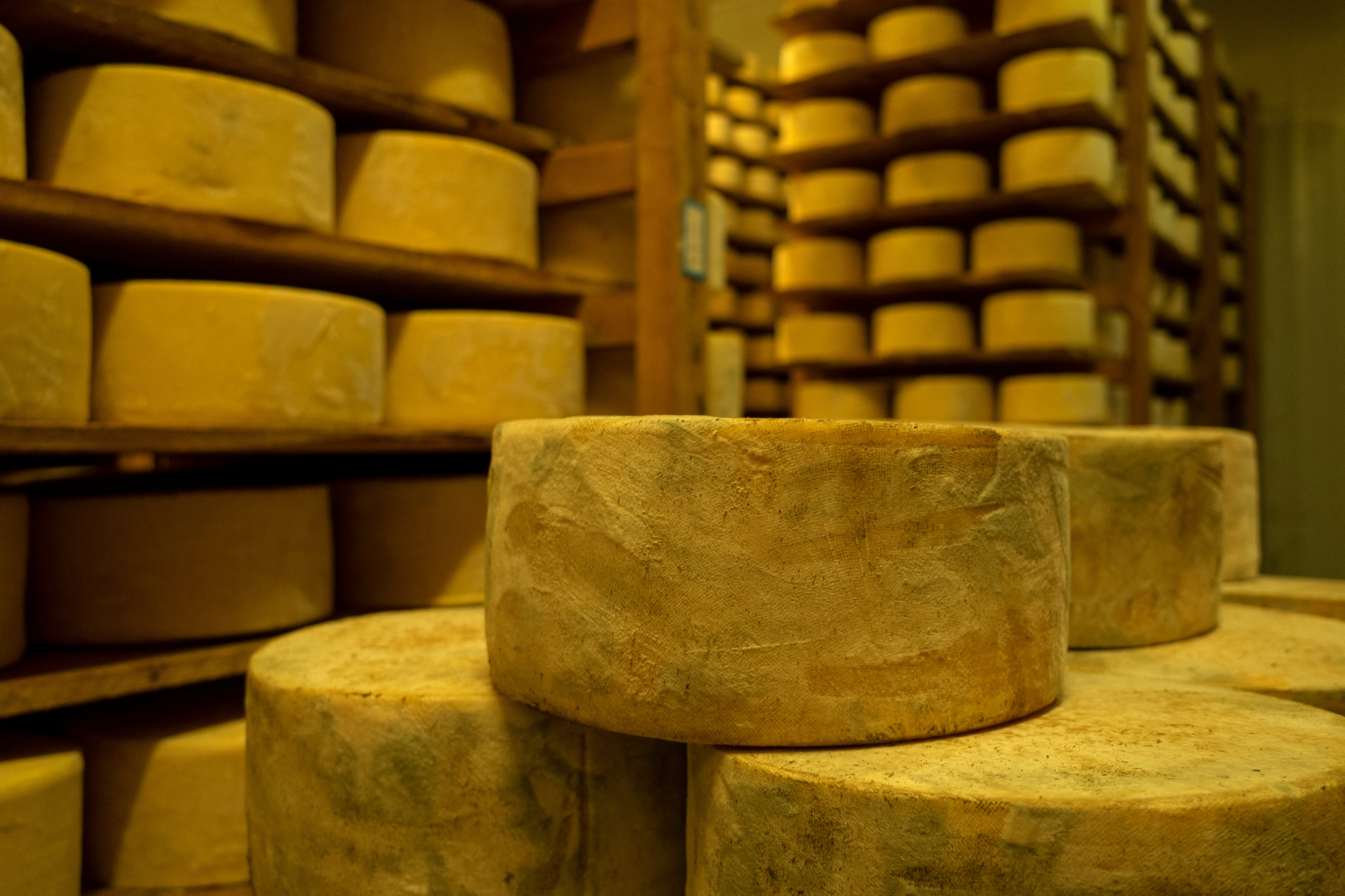 Comer queso, ¿es bueno o malo para la salud?