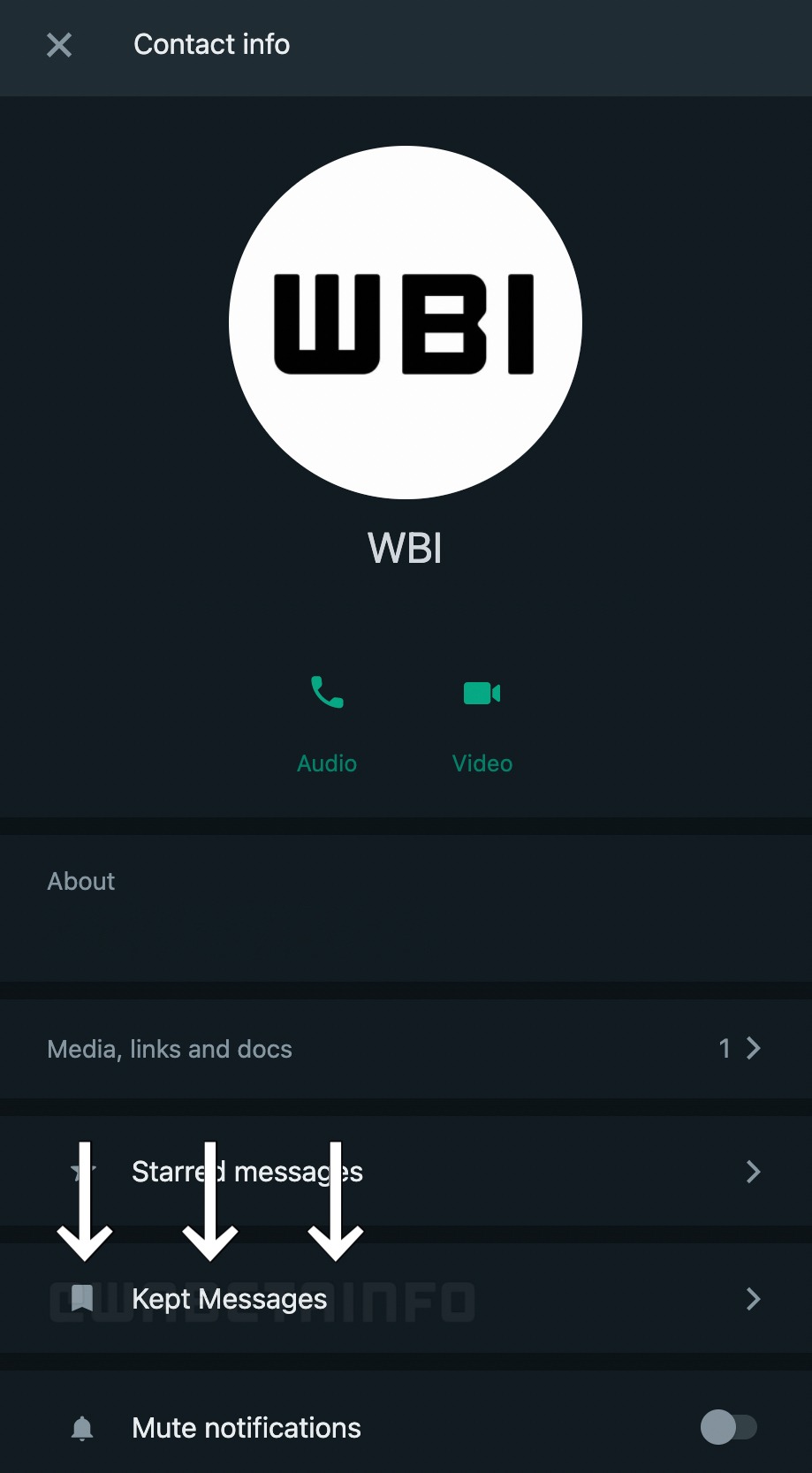 Sección de mensajes guardados en conversaciones temporales de WhatsApp. (WABetaInfo)
