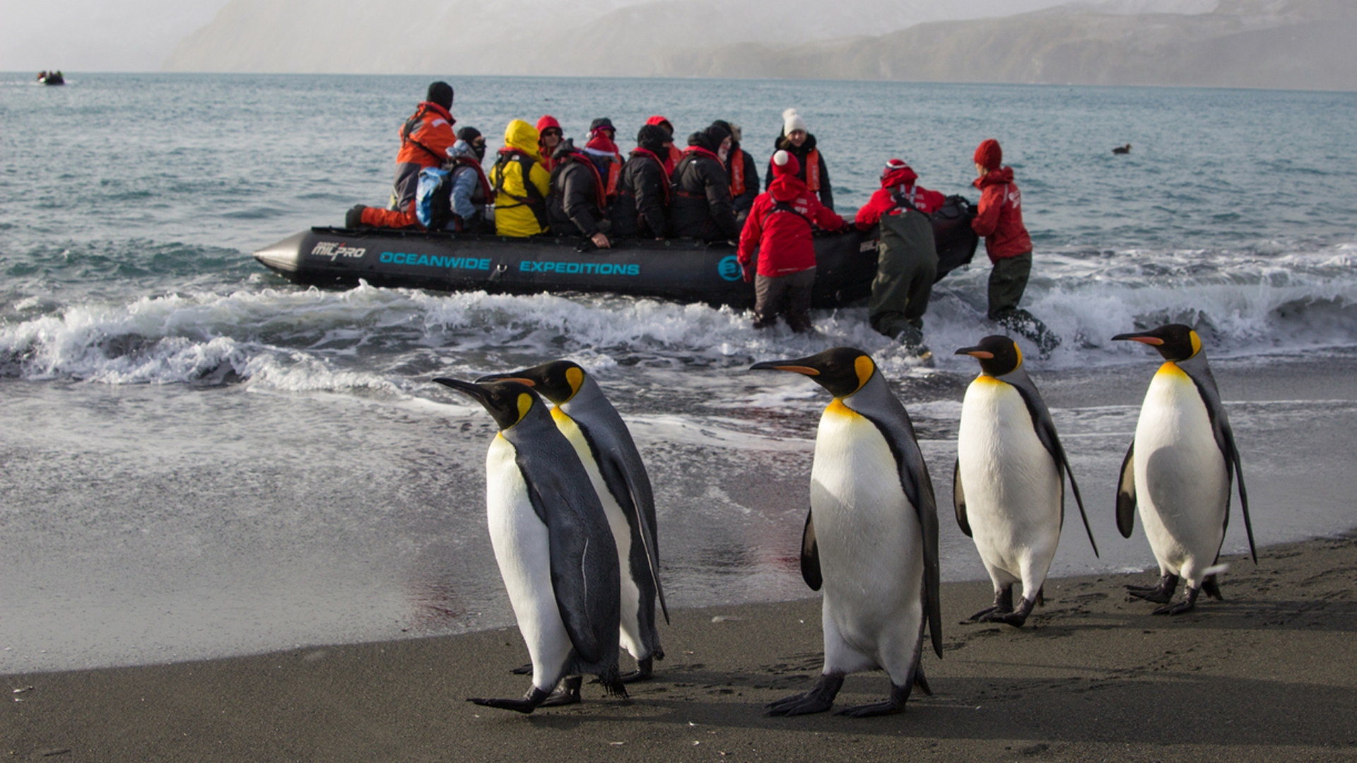 Los expertos alertaron sobre el impacto que tiene la presencia humana en la Antártida / (Istock)