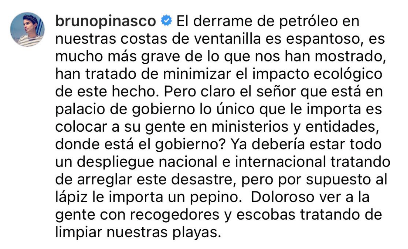 Bruno Pinasco contra el Gobierno de Pedro Castillo. (Foto: Instagram)