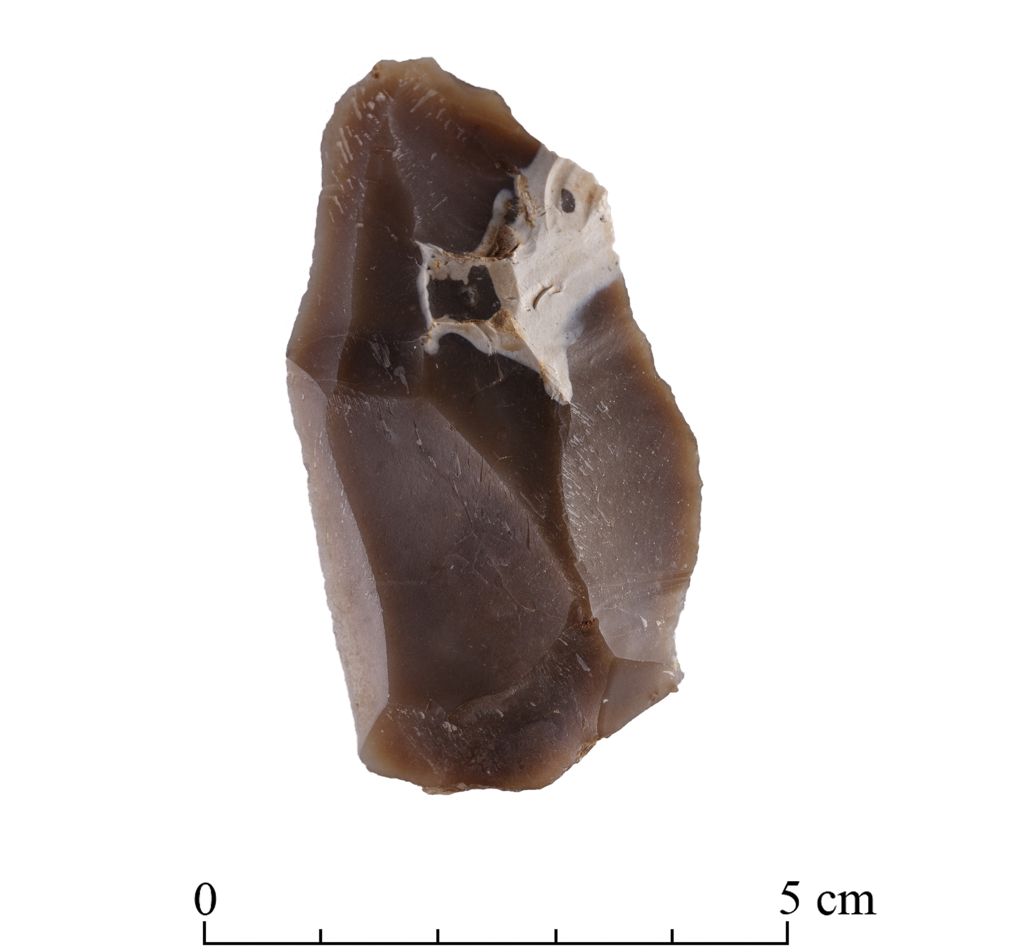 Una lámina que es producto de la talla de un núcleo de piedra. Fue una de las herramientas que usaba el Homo de Nesher Ramla. Se estima que junto con otro tipo de herramientas de piedra se usaban para la caza y otras actividades hace 126.000 años/Tal Rogovski 
