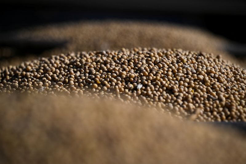 La revolución de los chips informáticos en la medicina: cómo transforman el tratamiento de enfermedades