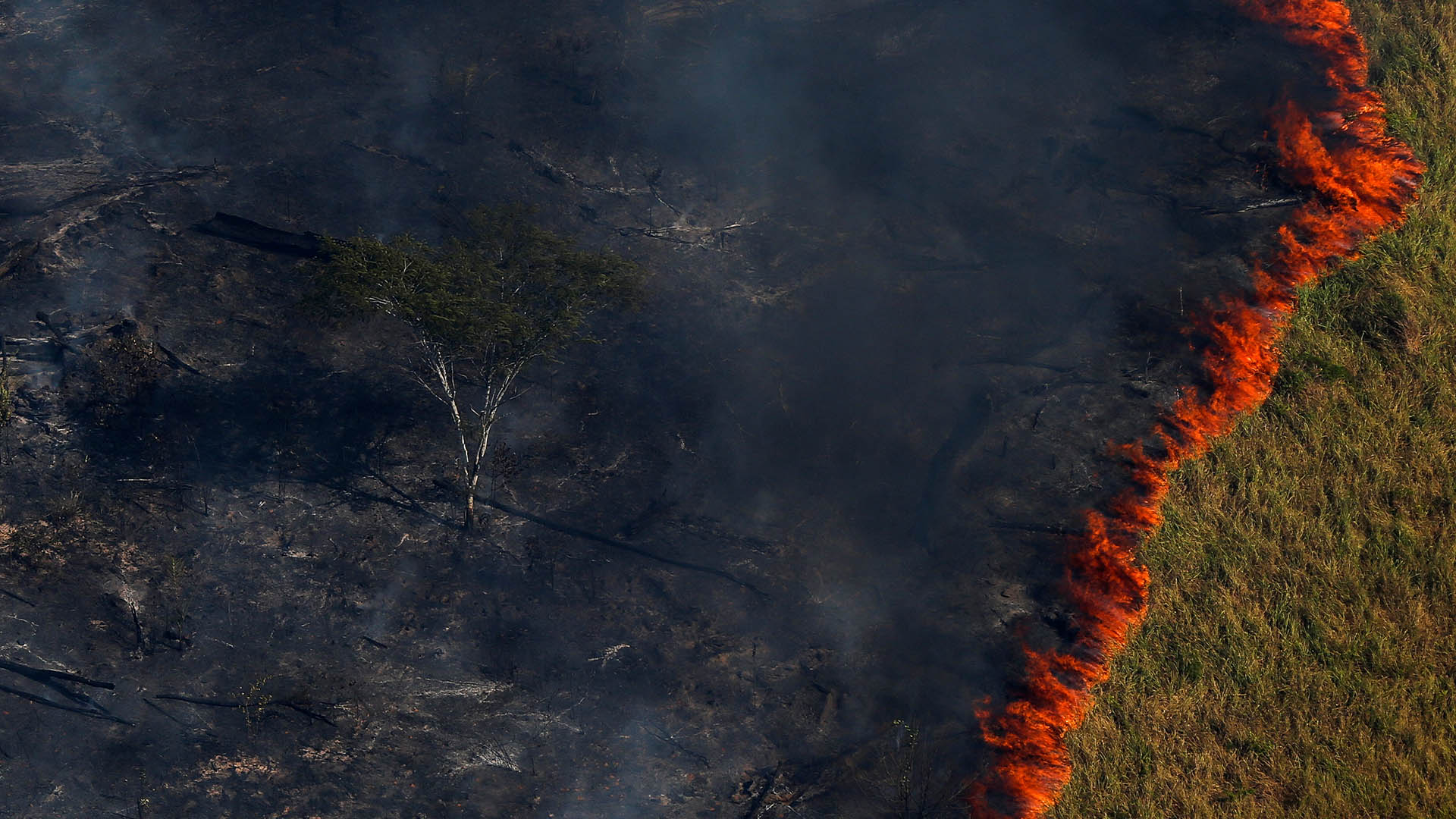 Cuando hay menos precipitaciones esto se retroalimenta con la tala y aumenta el riesgo de incendios forestales (REUTERS/Bruno Kelly)