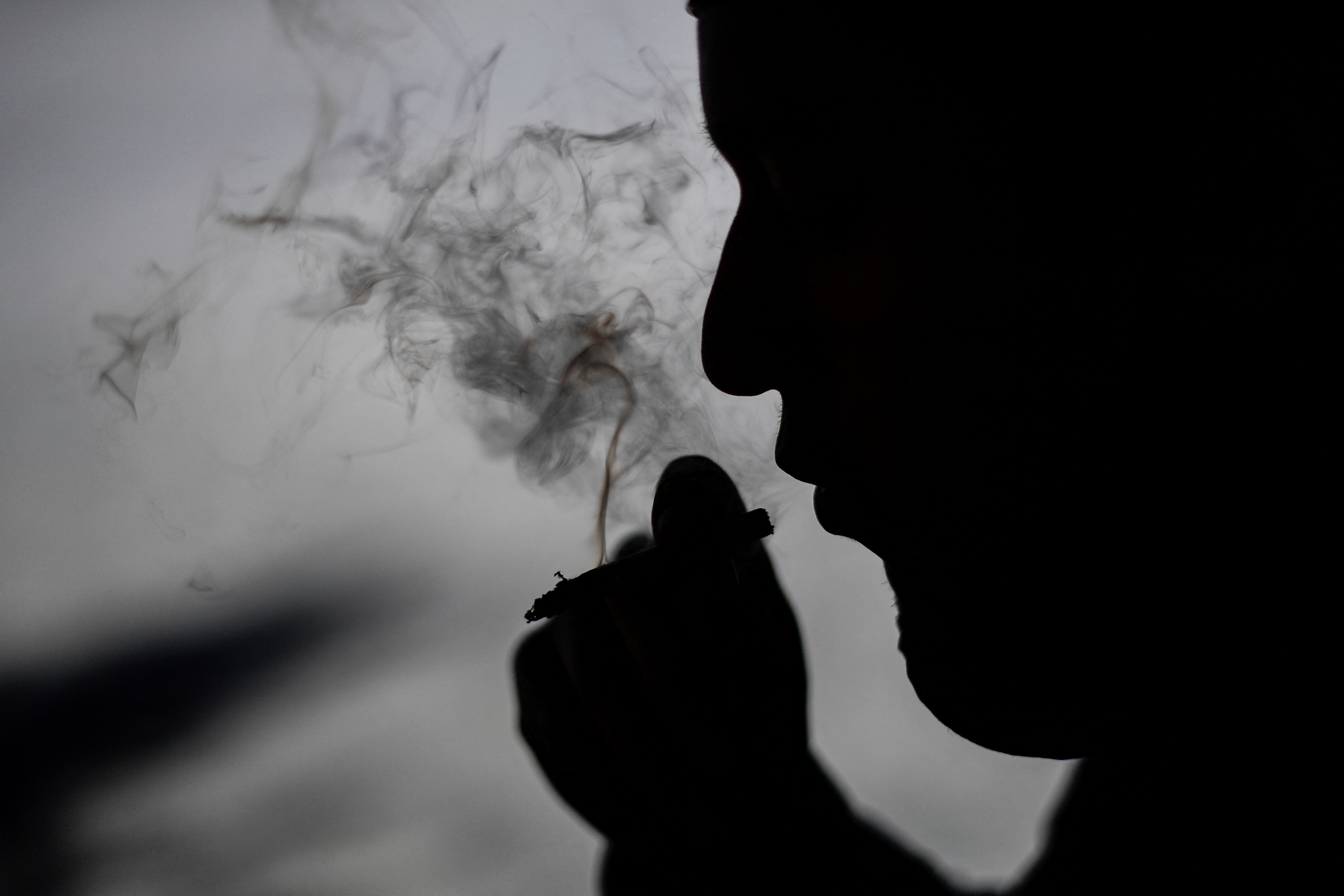 La marihuana también afecta las habilidades cognitivas, al menos a corto plazo (Pedro PARDO / AFP)